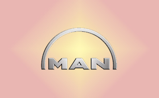 ✓ MAN N2.02503.6005 Запчасти МАН (MAN) 